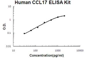 Image no. 1 for Chemokine (C-C Motif) Ligand 17 (CCL17) ELISA Kit (ABIN6720150)