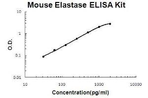Mouse Elastase PicoKine ELISA Kit standard curve