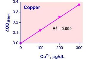 Biochemical Assay (BCA) image for Copper Assay Kit (ABIN1000260)