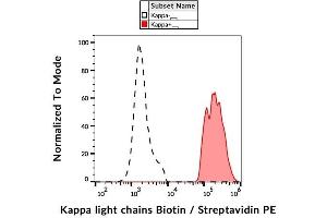 Image no. 1 for anti-kappa Light Chain antibody (Biotin) (ABIN2749092)