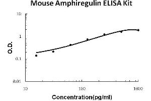 Image no. 1 for Amphiregulin (AREG) ELISA Kit (ABIN2859282)
