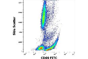 Image no. 1 for anti-CD69 (CD69) antibody (FITC) (ABIN302016)