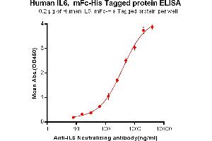 Image no. 6 for Interleukin 6 (IL6) protein (mFc Tag,His tag) (ABIN6961105)