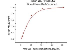 Image no. 1 for Complement Component 5a (C5a) (AA 679-751) (Active) protein (Fc Tag) (ABIN6938863)