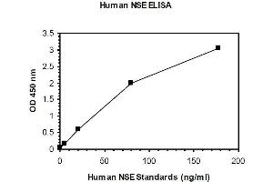 Image no. 1 for Enolase 2 (Gamma, Neuronal) (ENO2) ELISA Kit (ABIN1305165)