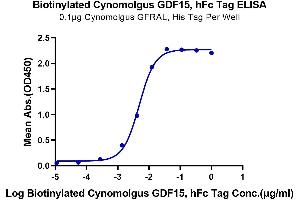 ELISA image for Growth Differentiation Factor 15 (GDF15) protein (Fc Tag,Biotin) (ABIN7274720)