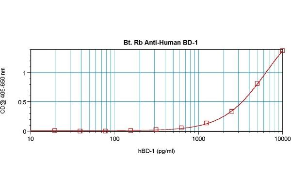 beta Defensin 1 抗体  (Biotin)