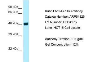 Image no. 1 for anti-G Protein-Coupled Receptor 3 (GPR3) (C-Term) antibody (ABIN2789805)