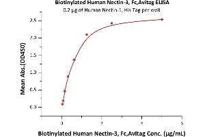 Image no. 3 for Nectin cell adhesion molecule 3 (NECTIN3) (AA 58-400) (Active) protein (Fc Tag,AVI tag,Biotin) (ABIN5526675)