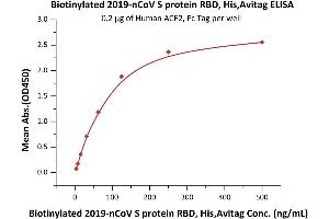 Image no. 4 for SARS-CoV-2 Spike S1 (RBD) protein (His tag,AVI tag,Biotin) (ABIN6952456)