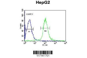 Image no. 1 for anti-Microsomal Glutathione S-Transferase 2 (MGST2) (AA 117-147), (C-Term) antibody (ABIN652824)