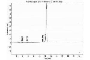 Image no. 2 for IgM peptide (Ovalbumin) (ABIN5666232)