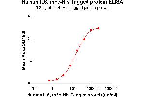 Image no. 3 for Interleukin 6 (IL6) protein (mFc Tag,His tag) (ABIN6961105)