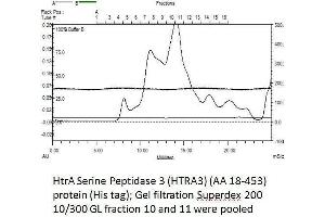Image no. 3 for HtrA Serine Peptidase 3 (HTRA3) (AA 18-453) protein (His tag) (ABIN3092994)