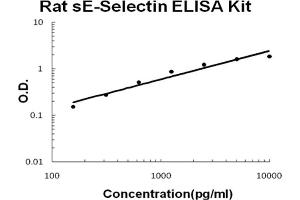 Rat sE-Selectin Accusignal ELISA Kit Rat sE-Selectin AccuSignal ELISA Kit standard curve.