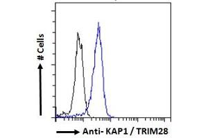 Image no. 6 for anti-Tripartite Motif Containing 28 (TRIM28) (C-Term) antibody (ABIN184913)