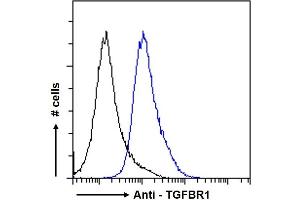 Image no. 1 for anti-Transforming Growth Factor, beta Receptor 1 (TGFBR1) (AA 50-63) antibody (ABIN768623)