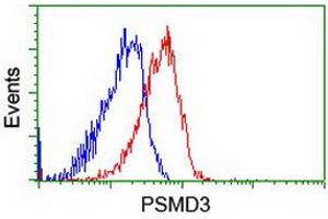 Image no. 1 for anti-Proteasome (Prosome, Macropain) 26S Subunit, Non-ATPase, 3 (PSMD3) antibody (ABIN1499980)