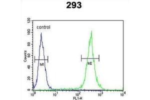 Image no. 2 for anti-Unc-13 Homolog B (UNC13B) antibody (ABIN3003956)