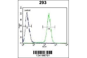 Image no. 2 for anti-Transmembrane Protein 66 (TMEM66) (AA 33-62), (N-Term) antibody (ABIN654703)