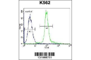 Image no. 3 for anti-Glomulin, FKBP Associated Protein (GLMN) (AA 498-525), (C-Term) antibody (ABIN655986)