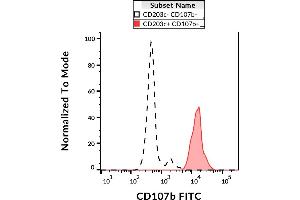 Image no. 1 for anti-Lysosomal-Associated Membrane Protein 2 (LAMP2) antibody (FITC) (ABIN2749100)