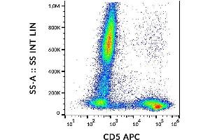 Image no. 3 for anti-CD5 (CD5) antibody (APC) (ABIN125752)