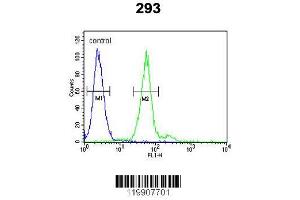 Image no. 2 for anti-Tryptase alpha/beta 1 (TPSAB1) (AA 61-87) antibody (ABIN651632)