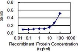 Image no. 1 for anti-Solute Carrier Family 27 (Fatty Acid Transporter), Member 5 (SLC27A5) (AA 90-175) antibody (ABIN2565901)