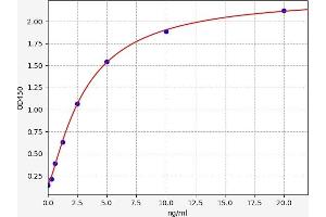 NOTCH4 ELISA Kit
