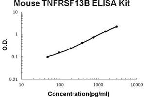 Image no. 1 for Tumor Necrosis Factor Receptor Superfamily, Member 13B (TNFRSF13B) ELISA Kit (ABIN1889340)