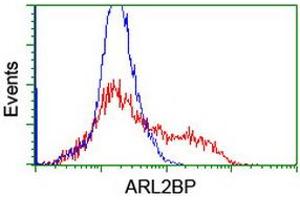 Image no. 1 for anti-ADP-Ribosylation Factor-Like 2 Binding Protein (ARL2BP) antibody (ABIN1496715)