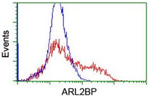ARL2BP antibody
