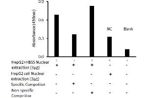 Transcription factor activity assay of TFEB from nuclear extracts of HepG2 cells or HepG2 cells treated with HBSS medium for 4 hr with the specific competitor or non-specific competitor.