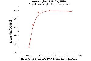 Image no. 1 for Sialic Acid Binding Ig-Like Lectin 15 (SIGLEC15) (AA 20-263) protein (His tag) (ABIN6809919)