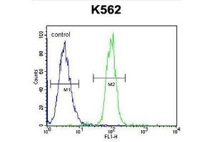 Image no. 1 for anti-Transcription Factor 21 (TCF21) (AA 151-179), (C-Term) antibody (ABIN955127)