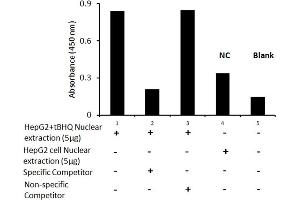 Activity Assay (AcA) image for Nuclear Factor (erythroid-Derived 2)-Like 2 (NFE2L2) ELISA Kit (ABIN5526730)