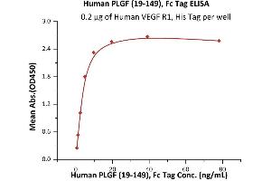 Image no. 1 for Placenta Growth Factor (PGF) (AA 19-149) (Active) protein (Fc Tag) (ABIN6973194)