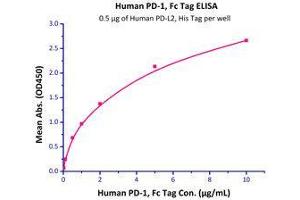 Immobilized Human PD-L2, His Tag  with a linear range of 0.