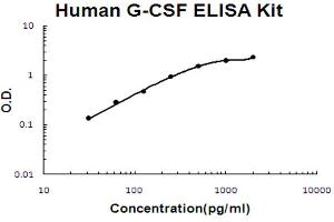 Human G-CSF Accusignal ELISA Kit Human G-CSF AccuSignal ELISA Kit standard curve.