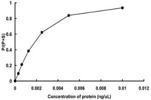 PKC alpha Protein (AA 1-672) (GST tag)