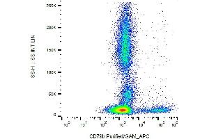 Image no. 2 for anti-CD79b Molecule, Immunoglobulin-Associated beta (CD79B) antibody (ABIN1027694)
