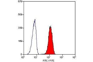 Image no. 1 for anti-Fc gamma RII (CD32) antibody (ABIN2479990)