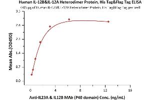 Image no. 3 for Interleukin 12 (IL12) (AA 23-328) (Active) protein (His tag,DYKDDDDK Tag) (ABIN2181328)