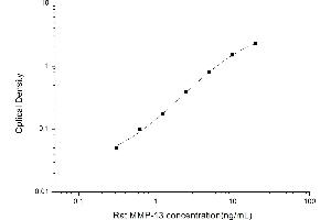 Image no. 1 for Matrix Metallopeptidase 13 (Collagenase 3) (MMP13) ELISA Kit (ABIN6963102)