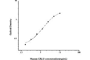 Image no. 1 for Calumenin (CALU) ELISA Kit (ABIN6962069)