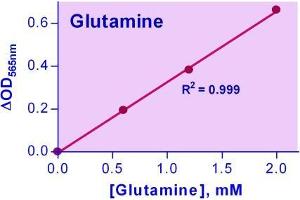 Biochemical Assay (BCA) image for Glutamine Assay Kit (ABIN1000310)