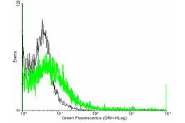 HLA-E antibody  (AA 1-358)