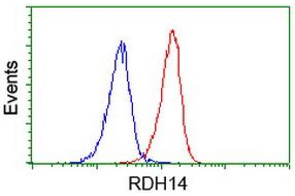anti-Retinol Dehydrogenase 14 (All-Trans/9-Cis/11-Cis) (RDH14) antibody