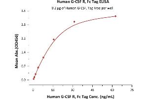Immobilized Human G-CSF, Tag Free (ABIN2181135,ABIN2693589) at 2 μg/mL (100 μL/well) can bind Human G-CSF R, Fc Tag (ABIN2181147,ABIN2181146) with a linear range of 1-16 ng/mL (QC tested).
